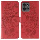 For Motorola Edge 50 Rose Butterfly Embossed Leather Phone Case(Red) - 1