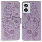 For Motorola Edge 50 Fusion Rose Butterfly Embossed Leather Phone Case(Purple) - 1