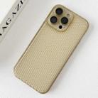 For iPhone 16 Pro Ice Cream Dream Network Cooling PC Phone Case with Lens Film(Transparent Gold) - 2