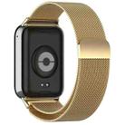 For Xiaomi Smart Band 9 Pro / 8 Pro xDfind Milan Magnetic Steel Mesh Watch Band(Gold) - 2