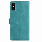 For iPhone XS / X Skin Feel Embossed Feather Leather Phone Case(Green) - 3