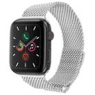 For Apple Watch 46mm / 49mm / 45mm / 44mm Double-section Magnetic Milanese Steel Watch Band(Silver) - 1