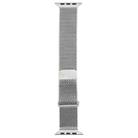 For Apple Watch 46mm / 49mm / 45mm / 44mm Double-section Magnetic Milanese Steel Watch Band(Silver) - 3