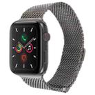 For Apple Watch 42mm / 41mm / 40mm / 38mm Double-section Magnetic Milanese Steel Watch Band(Titanium Color) - 1