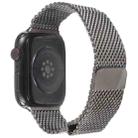 For Apple Watch 42mm / 41mm / 40mm / 38mm Double-section Magnetic Milanese Steel Watch Band(Titanium Color) - 2