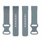 For Fitbit Charge 6 / 5 xDfind Silicone Watch Band, Size:L(Steel Blue) - 2