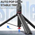 TT01 1.77m All-in-one Auto Pop Open Tripod Magnetic Remote Selfie Stick(Black) - 8
