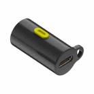 Type-C Port Portable Outdoor Ultra-Low Power 210-230LM Flashlight, Model:Type-C Female(Gray) - 2