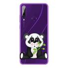 For Huawei Y6p (2020) Coloured Drawing Pattern Highly Transparent TPU Protective Case(Bamboo Bear) - 1