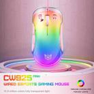 ONIKUMA CW925 12800DPI Colorful RGB E-Sports Gaming Wired Mouse(Pink) - 2