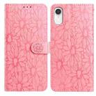 For iPhone XR Daisy Embossed Leather Phone Case(Pink) - 1