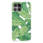 For iPhone 12 mini Shockproof Painted Transparent TPU Protective Case(Banana Leaf) - 1