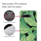For Asus ROG Phone 3 ZS661KS Shockproof Painted Transparent TPU Protective Case(Banana Leaf) - 2