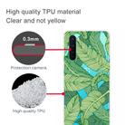 For OnePlus Nord Shockproof Painted Transparent TPU Protective Case(Banana Leaf) - 3