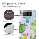 For Asus Zenfone 7 ZS670KS Shockproof Painted Transparent TPU Protective Case(Cactus) - 2