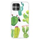 For iPhone 12 Pro Max Shockproof Painted Transparent TPU Protective Case(Cactus) - 1