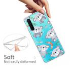 For OnePlus Nord Shockproof Painted Transparent TPU Protective Case(Koala) - 3