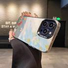 For iPhone 14 Flower Series Color Silver TPU Hybrid PC Phone Case(Blue Sky Flowers CK119) - 2