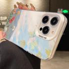 For iPhone 13 Pro Flower Series Color Silver TPU Hybrid PC Phone Case(Blue Sky Flowers CW119) - 2