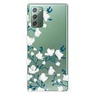 For Samsung Galaxy Note20 Shockproof Painted Transparent TPU Protective Case(Magnolia) - 1