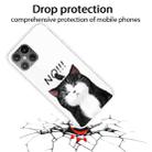 For iPhone 12 Pro Max Shockproof Painted Transparent TPU Protective Case(NO Cat) - 2