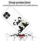 For iPhone 12 Pro Max Shockproof Painted Transparent TPU Protective Case(Bamboo Bear) - 2