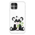 For iPhone 12 / 12 Pro Shockproof Painted Transparent TPU Protective Case(Bamboo Bear) - 1