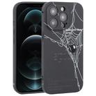 For iPhone 12 Pro Max Graffiti Spider TPU Phone Case(Black Grey Spider) - 1