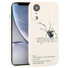 For iPhone XR Graffiti Spider TPU Phone Case(Beige Black Spider) - 1