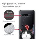 For Asus ROG Phone 3 ZS661KS Shockproof Painted Transparent TPU Protective Case(NO Cat) - 2