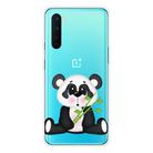 For OnePlus Nord Shockproof Painted Transparent TPU Protective Case(Bamboo Bear) - 1