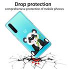 For OnePlus Nord Shockproof Painted Transparent TPU Protective Case(Bamboo Bear) - 2