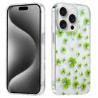 For iPhone 16 Plus Electroplated Symphony Phone Case(Four-leaf-clover) - 1