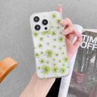 For iPhone 16 Plus Electroplated Symphony Phone Case(Four-leaf-clover) - 2