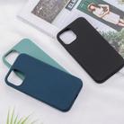 For iPhone 12 mini ROCK Liquid Silicone Shockproof Protective Case(Black) - 2