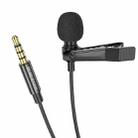 Borofone BFK11 Elegant 3.5mm Lavalier Microphone(Black) - 2