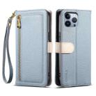 For iPhone 12 Pro Max ESEBLE E11 Colorful Litchi Pattern Zipper Wallet Leather Phone Case(Sky Blue) - 1
