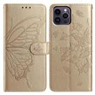 For iPhone 14 Pro Max Butterfly Flutter Pattern Embossed Leather Phone Case(Gold) - 1
