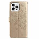 For iPhone 16 Pro Butterfly Flutter Pattern Embossed Leather Phone Case(Gold) - 3