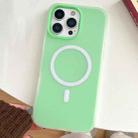 For iPhone 16 Pro Max Skin Feel MagSafe Magnetic PC Hybrid TPU Phone Case(Green) - 1