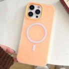 For iPhone 16 Pro Skin Feel MagSafe Magnetic PC Hybrid TPU Phone Case(Orange) - 1