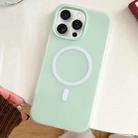 For iPhone 15 Pro Max Skin Feel MagSafe Magnetic PC Hybrid TPU Phone Case(Light Cyan) - 1