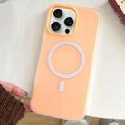 For iPhone 15 Pro Skin Feel MagSafe Magnetic PC Hybrid TPU Phone Case(Orange) - 1