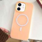 For iPhone 11 Skin Feel MagSafe Magnetic PC Hybrid TPU Phone Case(Orange) - 1