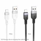 hoco X109 Energy 1m Silicone Fast Charging Data Cable, Interface:USB to 8 Pin(Black) - 2