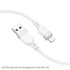 hoco X109 Energy 1m Silicone Fast Charging Data Cable, Interface:USB to 8 Pin(Black) - 3