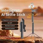 FUNSNAP A8 AI Smart Face Tracking Selfie Stick 5-axis Anti-shake Stand(Black) - 6