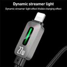 Yesido CA199 27W Type-C to 8 Pin Streamer Light Data Cable, Length: 1.2m(Grey) - 5