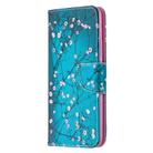 For OPPO Realme C11 Colored Drawing Pattern Horizontal Flip Leather Case with Holder & Card Slots & Wallet(Plum Blossom) - 1