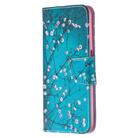 For OPPO Realme 6 Colored Drawing Pattern Horizontal Flip Leather Case with Holder & Card Slots & Wallet(Plum Blossom) - 2